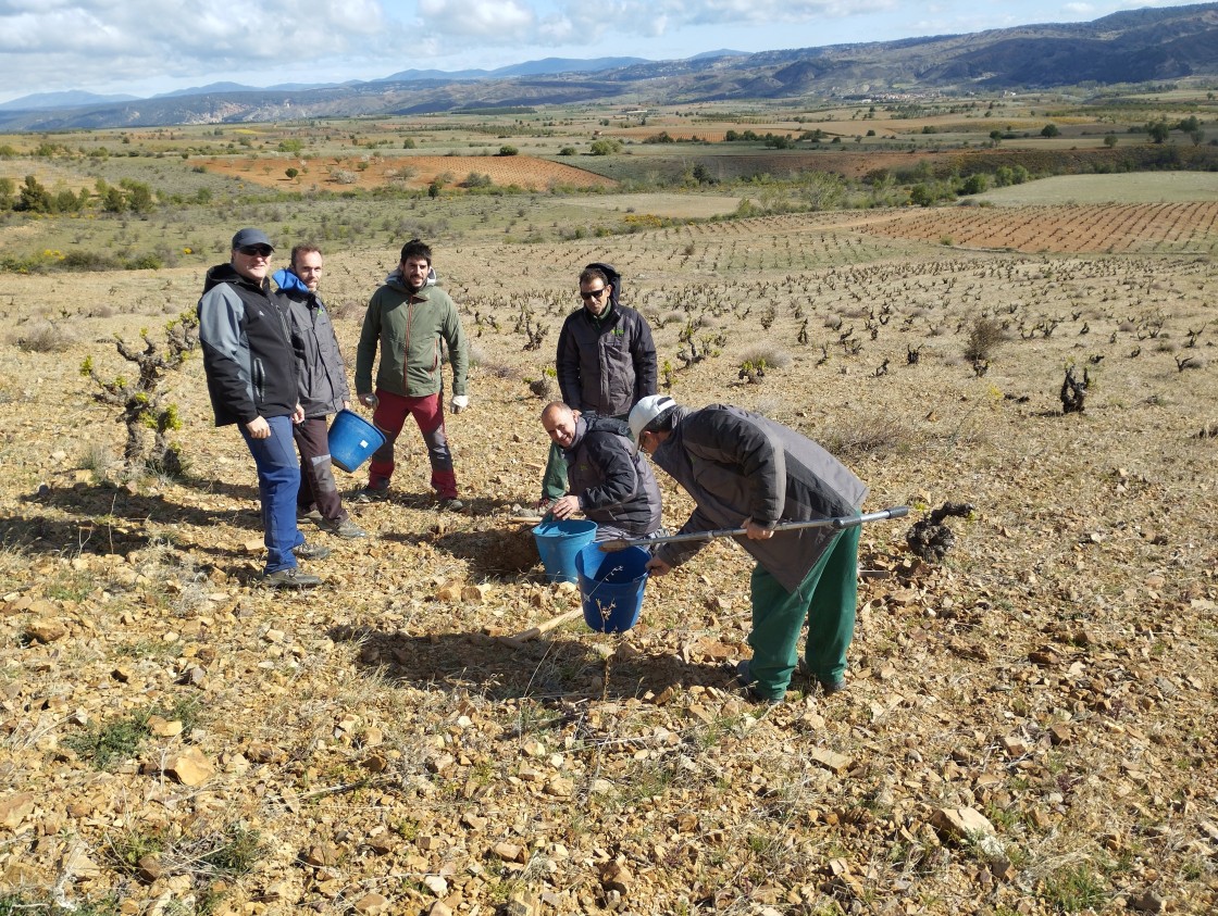 El CITA toma muestras del suelo de los viñedos en San Martín del Río