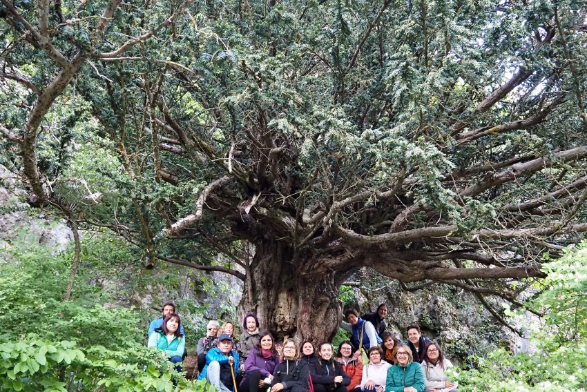 Gúdar-Javalambre organiza un curso de botánica práctica para difundir el patrimonio natural de la comarca